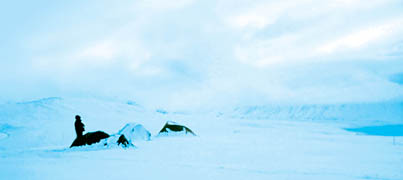 Tents of the research team in the Arctic.