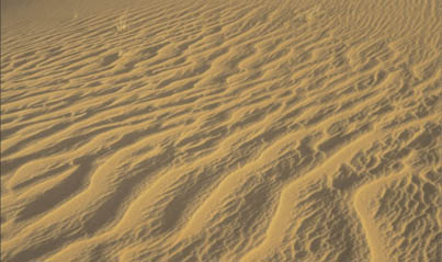 Picture of sand.