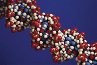 Image of DNA.