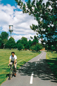 A recreational path for cyclists.