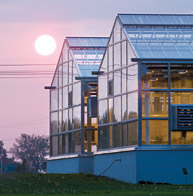 Greenhouses.